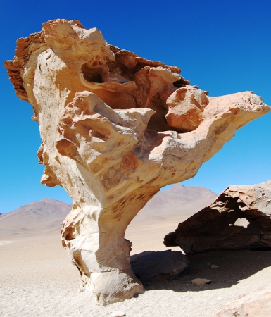 Arbol de Piedra, the most famous of the rock formations on the Salar de Uyuni Tour