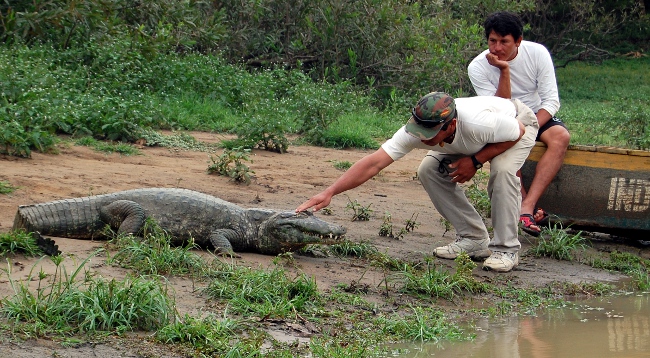 Crazy Guides with alligators in the pampas tour