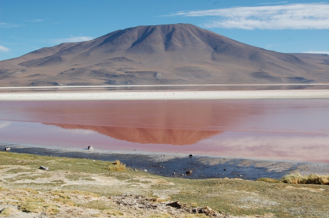 Laguna Colorada, Salt Flats tour, Bolivia