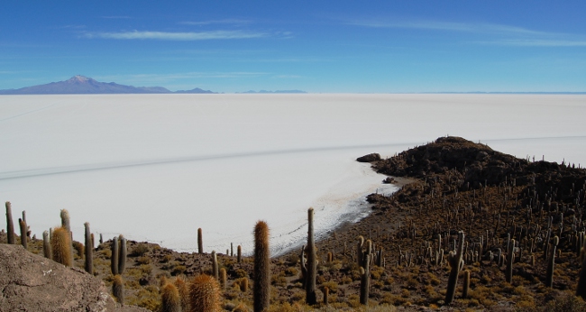 View from the top of Isla del Pescado, Salar de Uyuni Tour, Bolivia