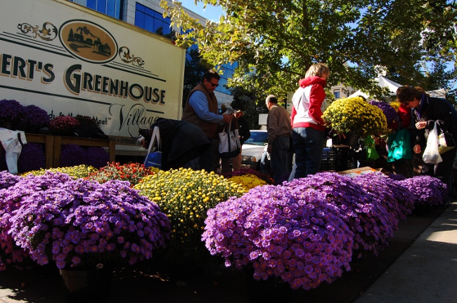 Farmer's Market in Madison, Wisconsin