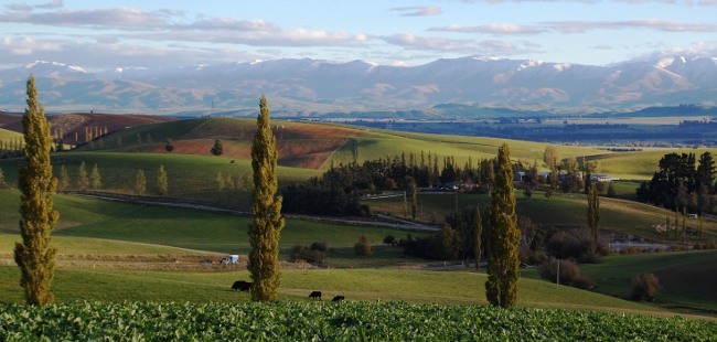 Beautiful countryside on the south island of New Zealand Beautiful countryside on the south island of New Zealand