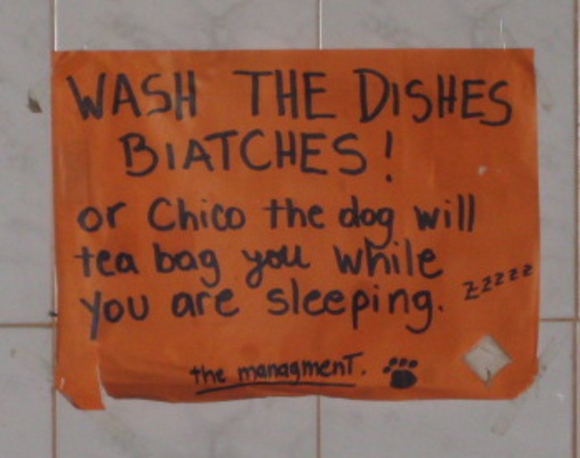 Chico the Dog