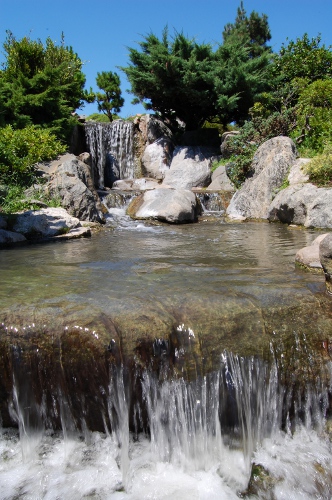 Japanese Garden (2)