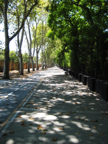 Nice, wide, tree lined walkways and bike paths inside Parque 3 de Febrero Nice, wide, tree lined walkways and bike paths inside Parque 3 de Febrero