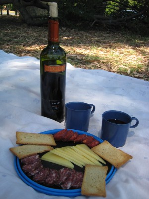 Picnic, Parque 3 de Febrero
