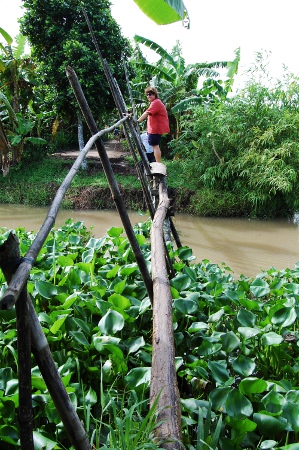 Shady Bridges in Vietnam Shady Bridges in Vietnam