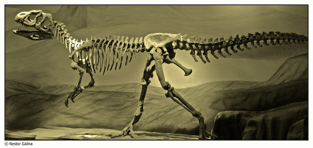 Dinosaur Museum, Trelew, Argentina