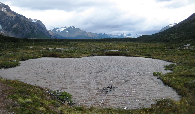 On the Trail to Lago Piedras Blancas, El Chalten, Patagonia, Argentina On the Trail to Lago Piedras Blancas, El Chalten, Patagonia, Argentina