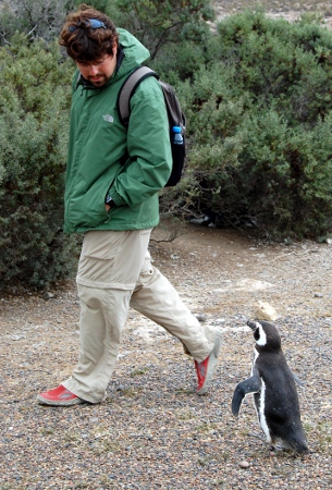 Killer penguin