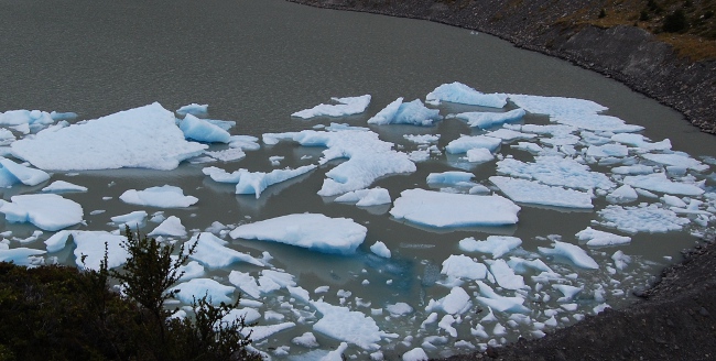 Icebergs Icebergs