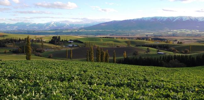 Inland Scenic Route, South Island, New Zealand Inland Scenic Route, South Island, New Zealand
