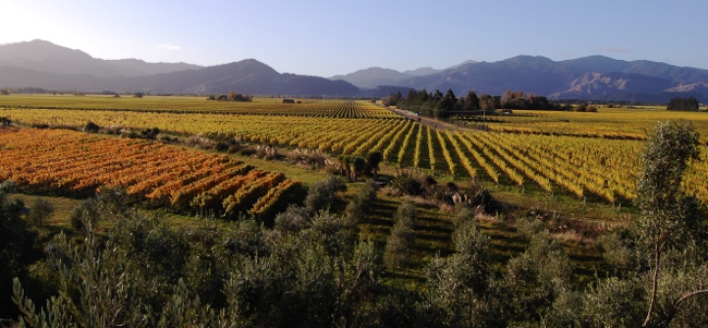 Seresin Winery-South Island, New Zealand Seresin Winery-South Island, New Zealand
