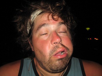 The Waggle Face The Waggle Face