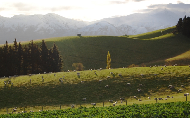 Inland Scenic Route, South Island, New Zealand Inland Scenic Route, South Island, New Zealand