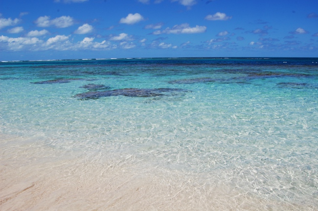 Clear water at Culebra Island, Puerto Rico (1) Clear water at Culebra Island, Puerto Rico (1)