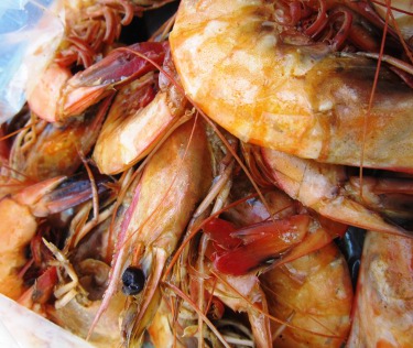 Shrimp from Cajun Seafood in New Orleans Shrimp from Cajun Seafood in New Orleans