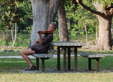 Violinist in Audubon Park, New Orleans, Louisiana Violinist in Audubon Park, New Orleans, Louisiana