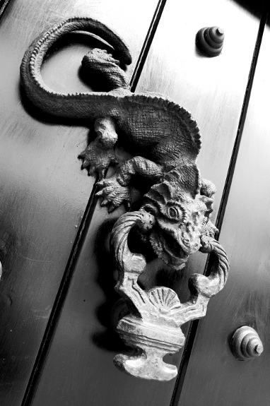 Lizard Door knocker in the historic center of Cartagena, Colombia