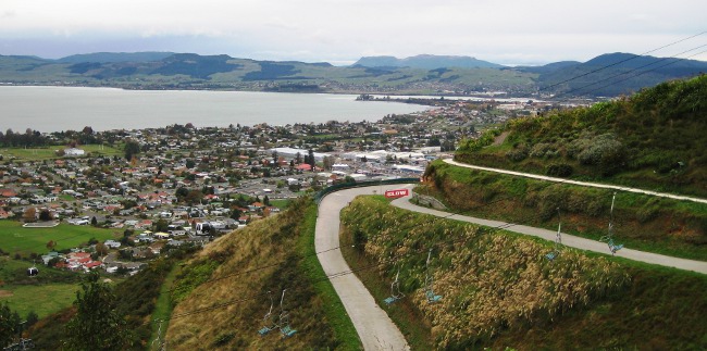 Views from the luge in Rotorua Views from the luge in Rotorua