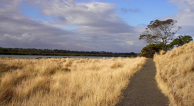 Phillip Island Nature Parks, Australia